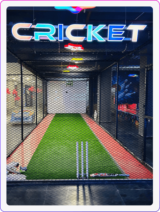 Virtual Cricket